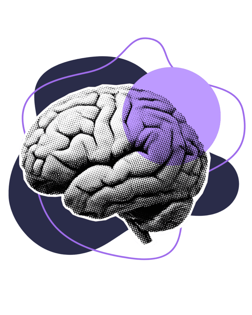 bwldigital agência de marketing digital